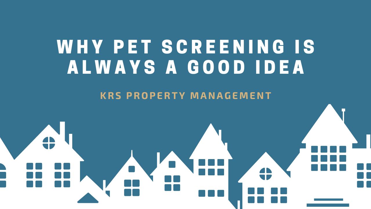 Property Management Blog